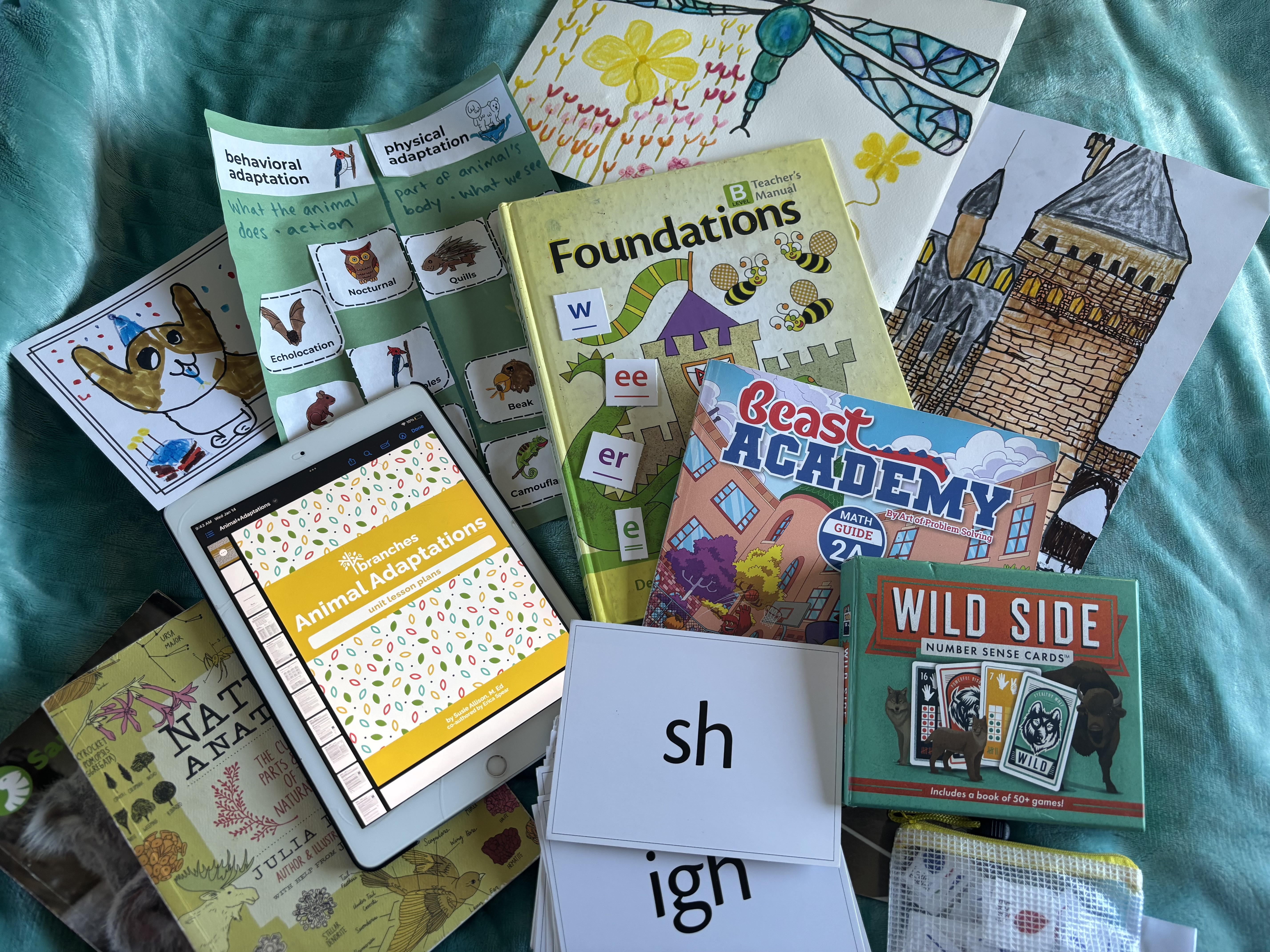 Our Homeschool Curriculum: A Roadschooling Overview - Roadschool Atlas
